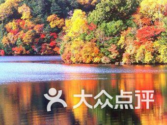 机智问答网页-什么生物有再生能力,让你一步到位解决疑惑
