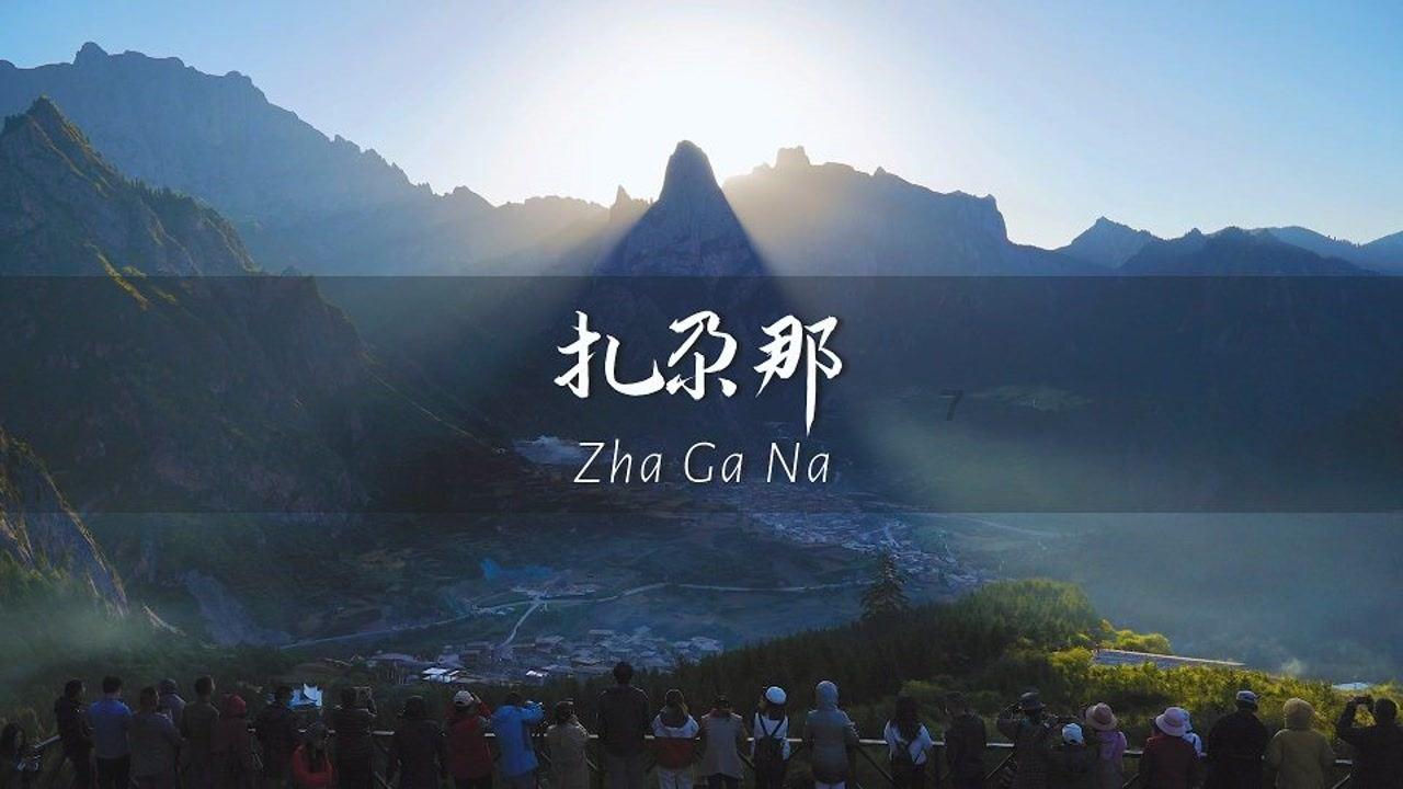 虫虫助手下载