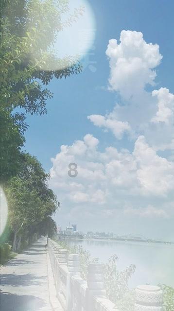 创作猫